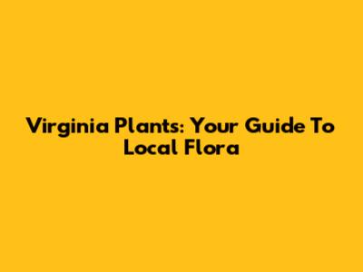 Virginia Plants: Your Guide To Local Flora
